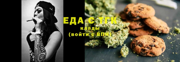 прущие грибы Новозыбков