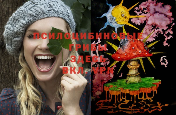 герыч Гусь-Хрустальный