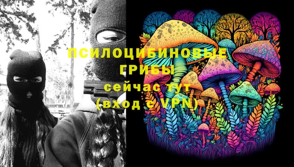 герыч Гусь-Хрустальный