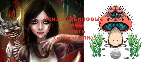 кристаллы Гусев
