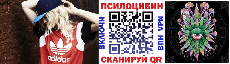 кракен ССЫЛКА  где найти   Онега  Галлюциногенные грибы мицелий 