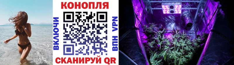 Конопля индика Онега
